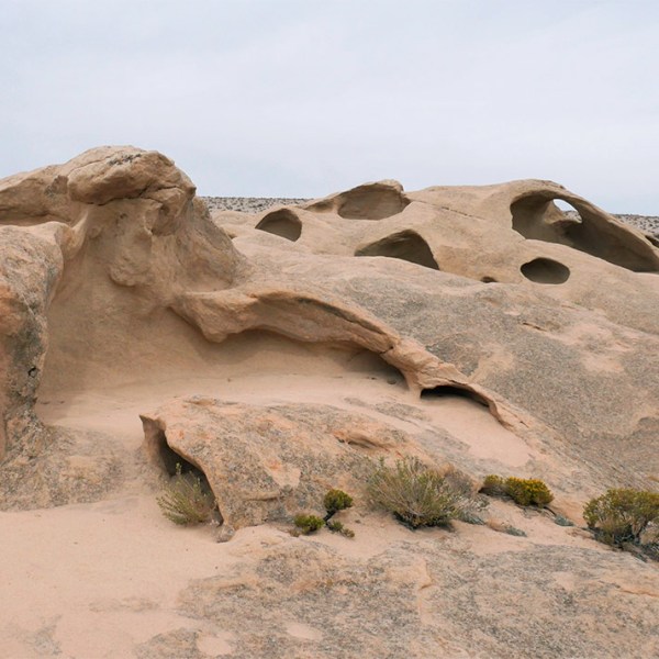 Shoofly Oolite & Bruneau&nbsp;Woodpile